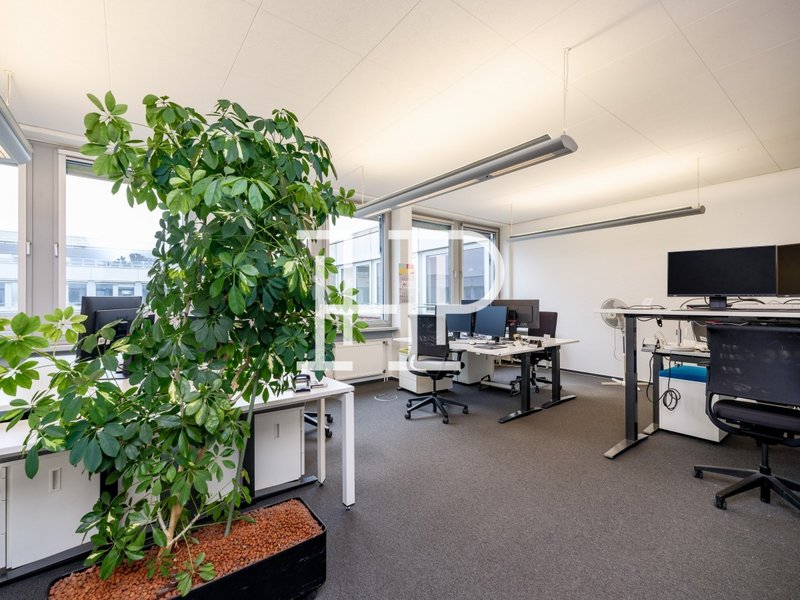 Gruppenbüro