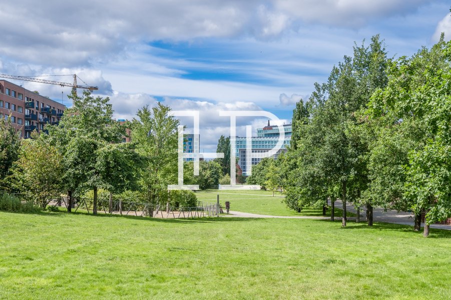 Lohsepark