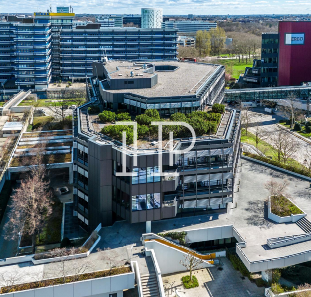 Blick auf die Dachfläche